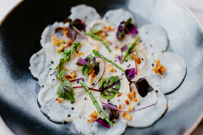 ceviche-van-coquille