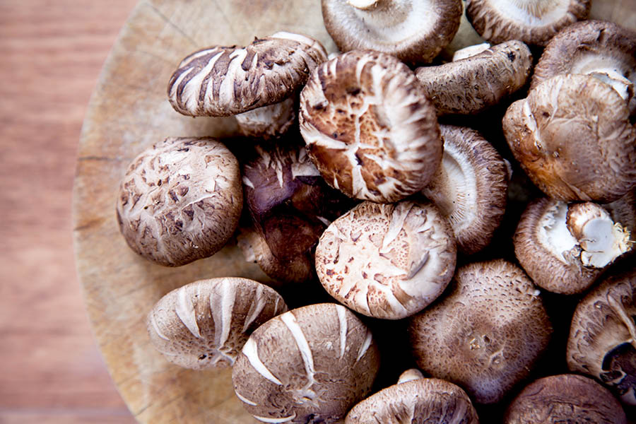 Shiitake