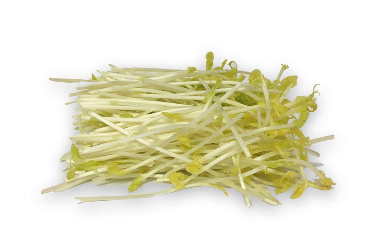 erwten asperge scheuten