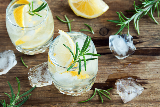 Gin tonic met gedroogde sinaasappel en rozemarijn