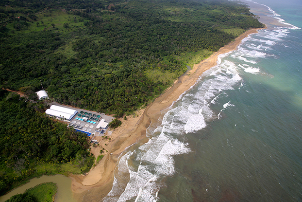 Kustlijn Panama, Cobia