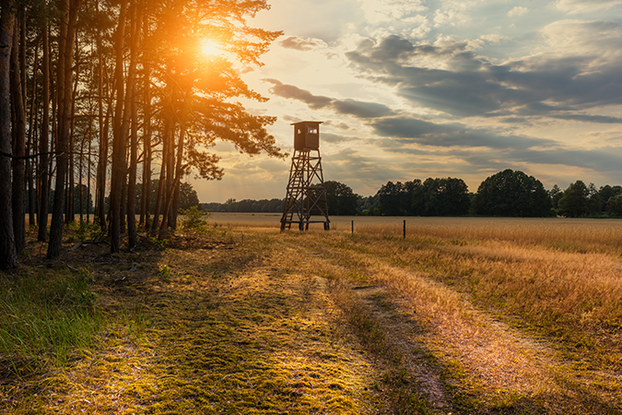 Veluwe