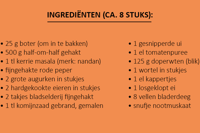 Ingrediënten vleespasteitjes