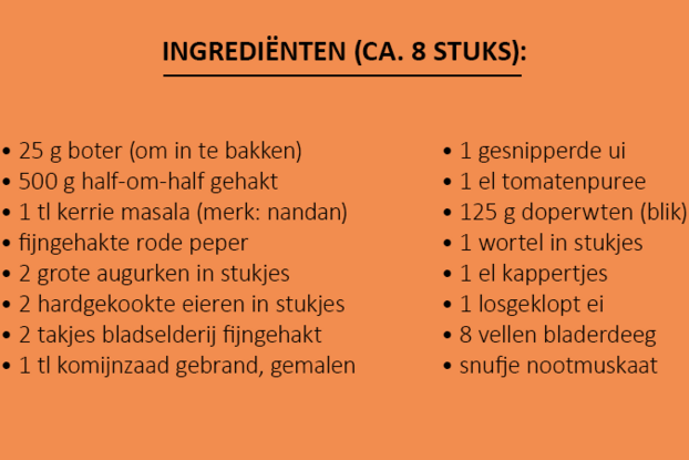 Ingrediënten vleespasteitjes